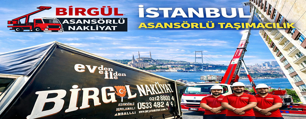 İstanbul Asansörlü Taşımacılık