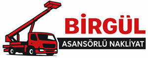 İstanbul Birgül Asansör