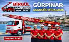 Gürpınar asansör kiralama